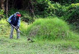 벌초대행 가격비교