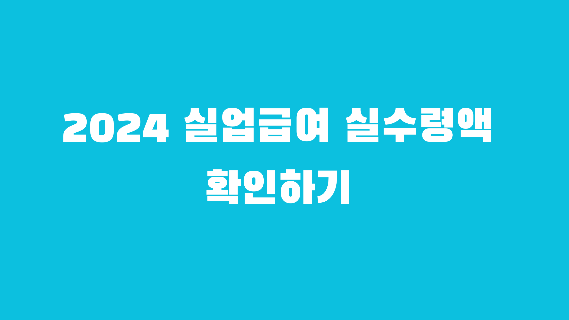 2024 실업급여 실수령액 확인하기