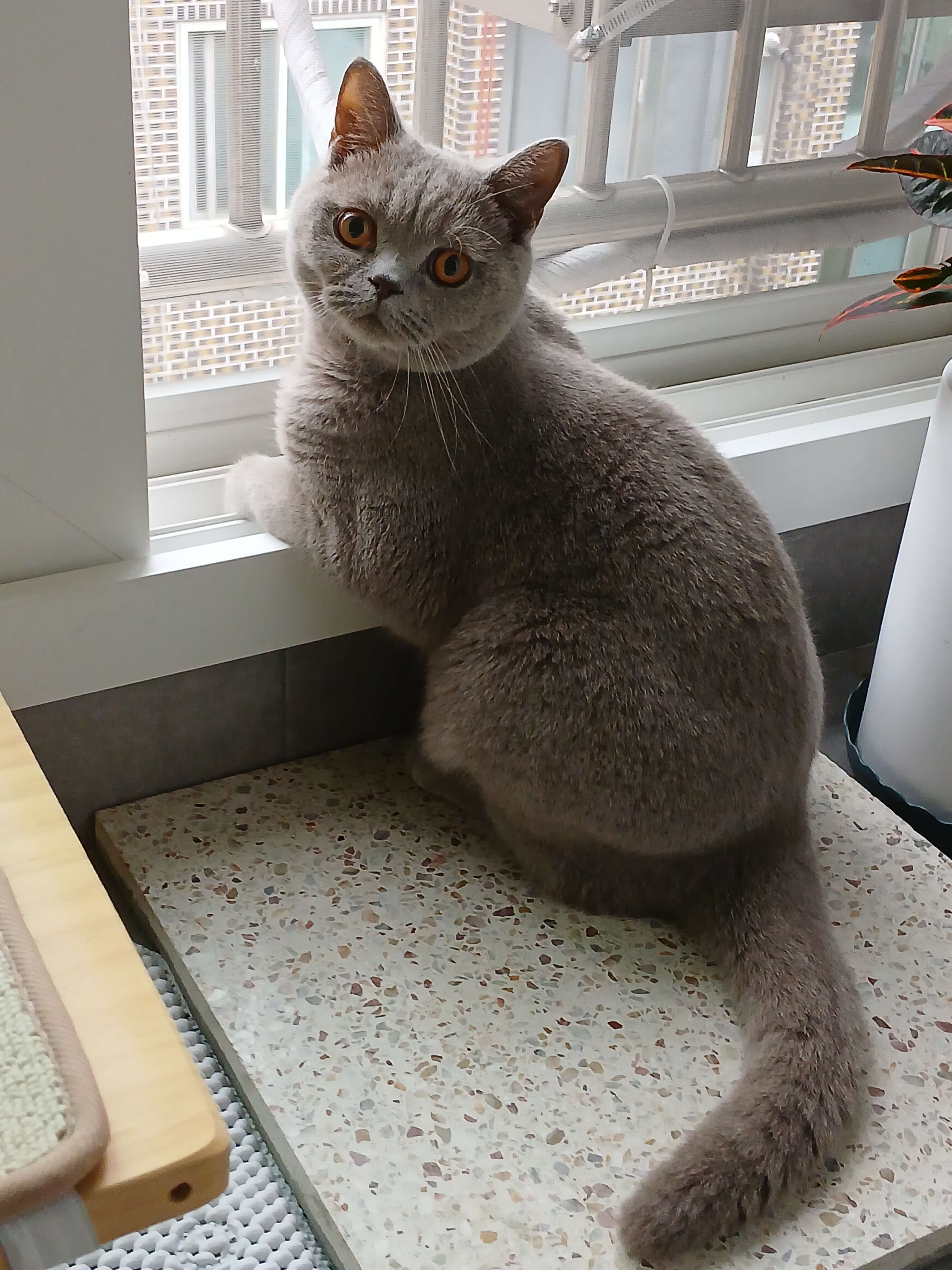 사고는 눈 깜짝할 사이에 일어납니다.베란다 방충망은 생각보다 약해요.