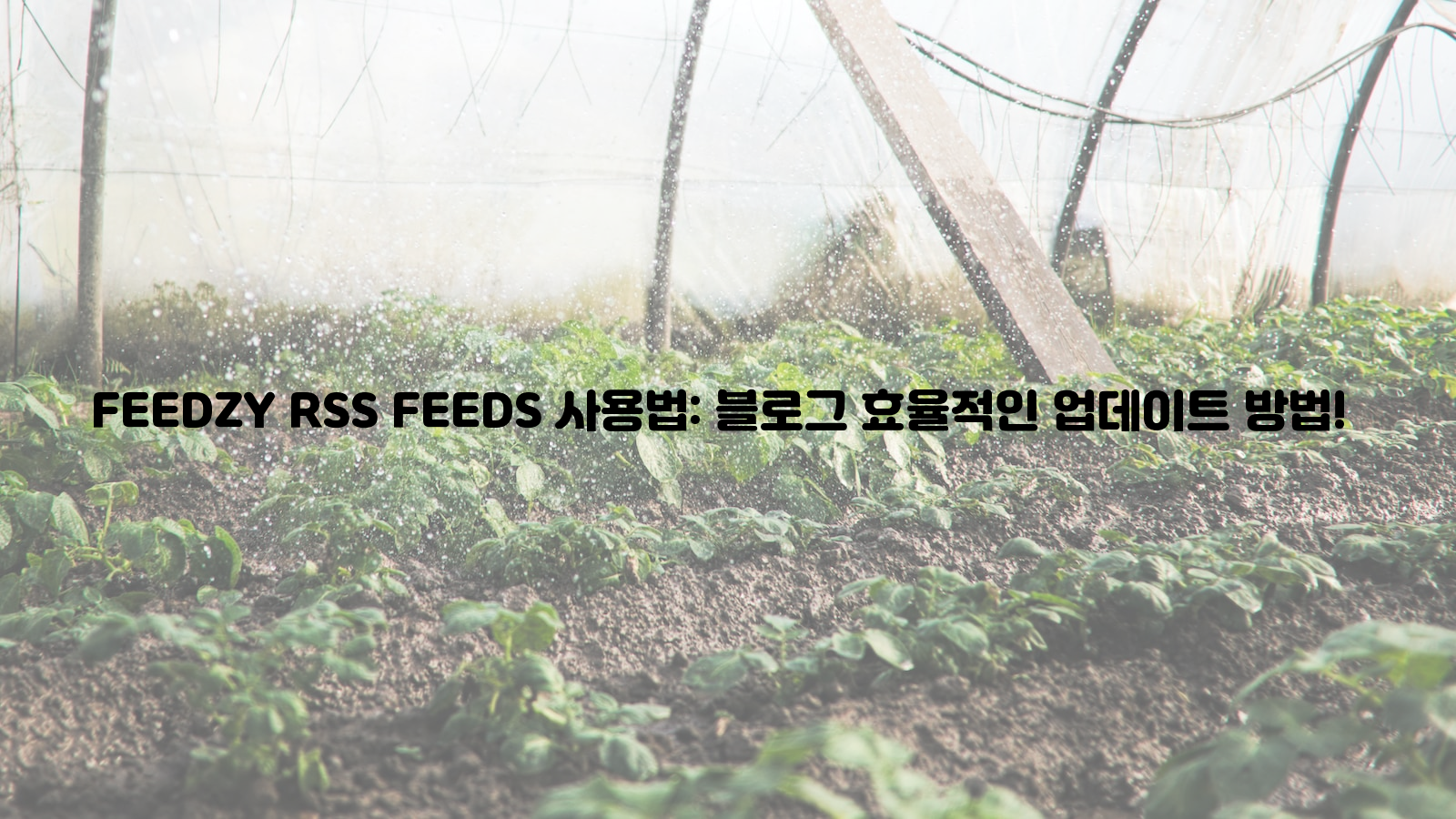 FEEDZY RSS FEEDS, 블로그, 업데이트