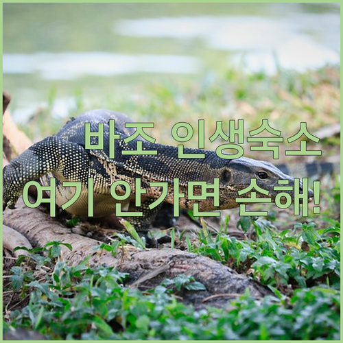 인도네시아의 숨겨진 보석 라부안 바조..