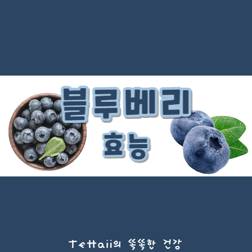 블루베리 효능 썸네일