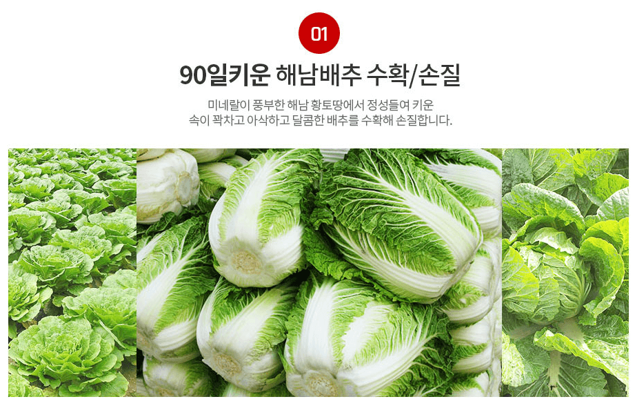 해남 절임배추 20kg 사전예약 가격비교