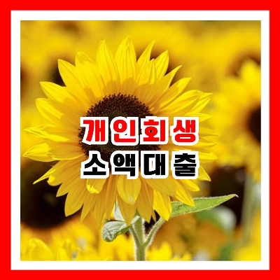 해바라기