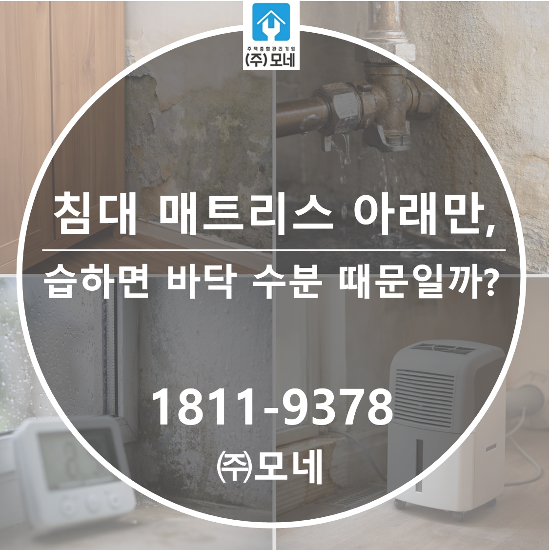 침대 매트리스 아래만 습하면 바닥 수분 때문일까?