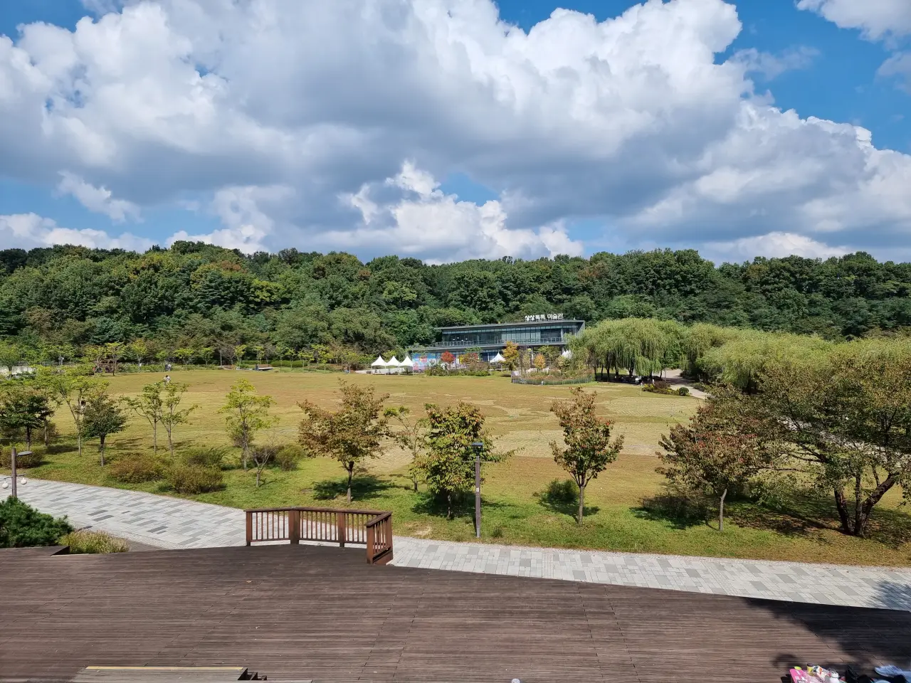 나무-데크-앞에-넓은-잔디-광장