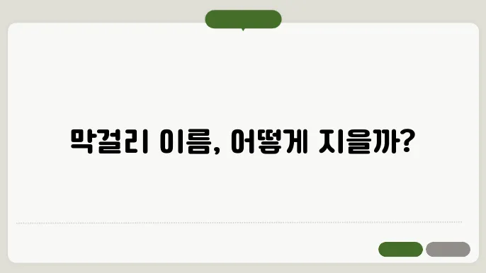 막걸리 이름, 작명 상호명 이름 짓기 추천 정보 총정리