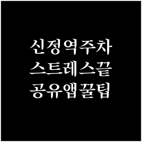 신정역 주차 스트레스 해결하는 공유 ..