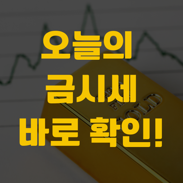 오늘의 금시세 실시간 확인