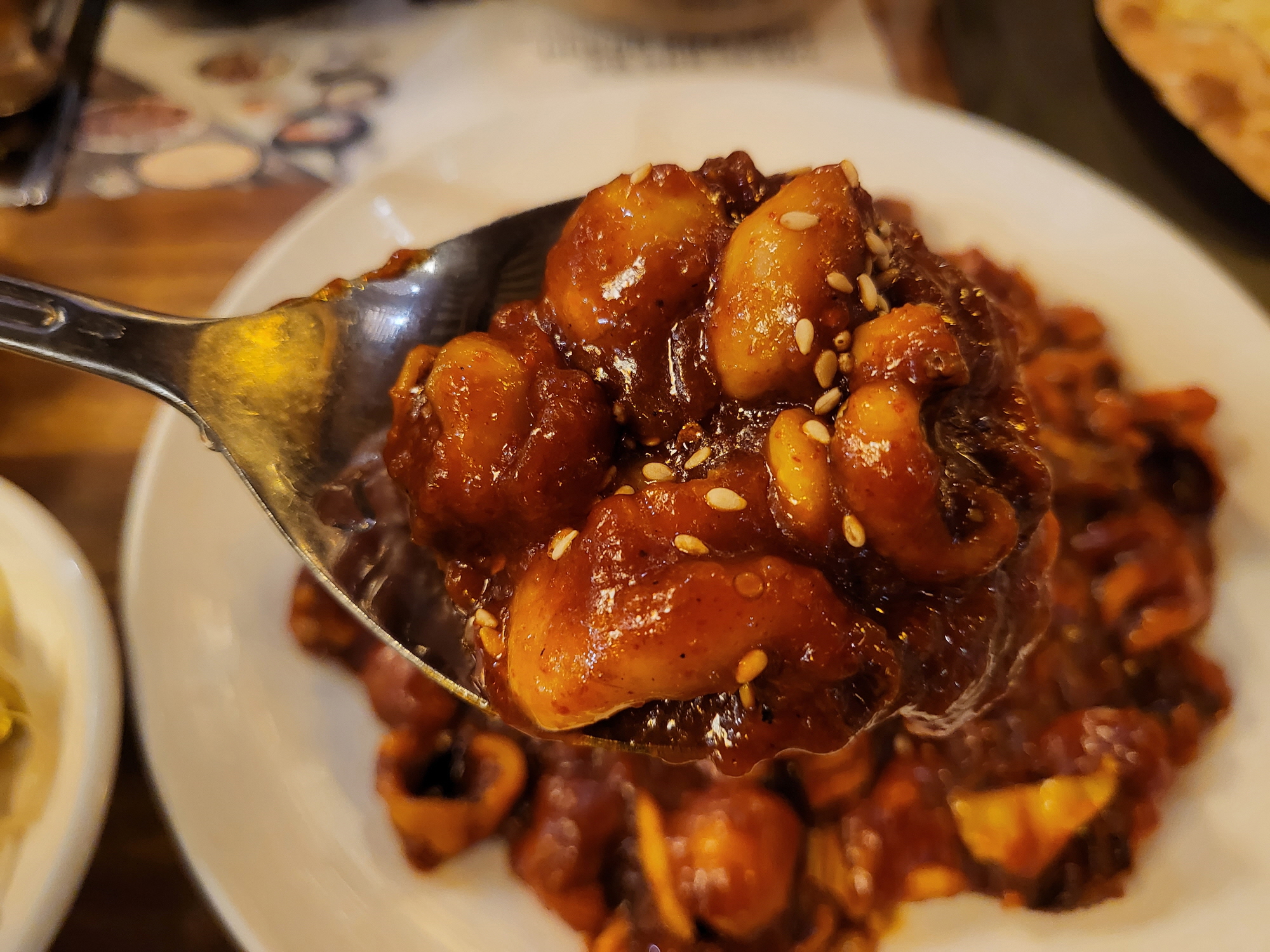 참소예 - 쭈꾸미 클로즈업