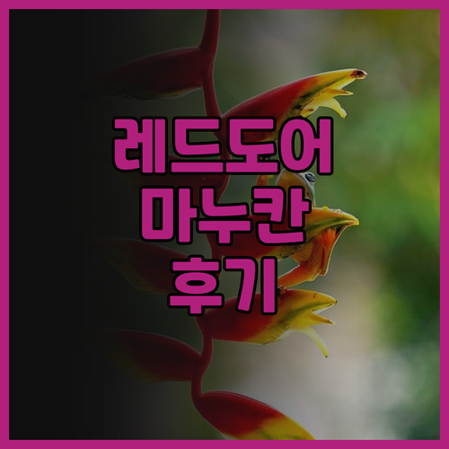 레드도어즈 마누칸 수라바야 솔직 후기