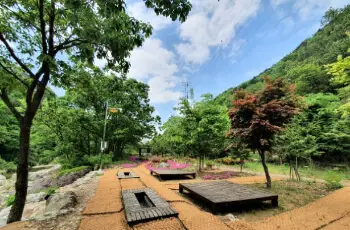 장령산 자연휴양림_11