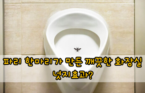 넛지효과란 무엇일까? 넛지를 공부해야 하는 이유에 대해 알아보자.