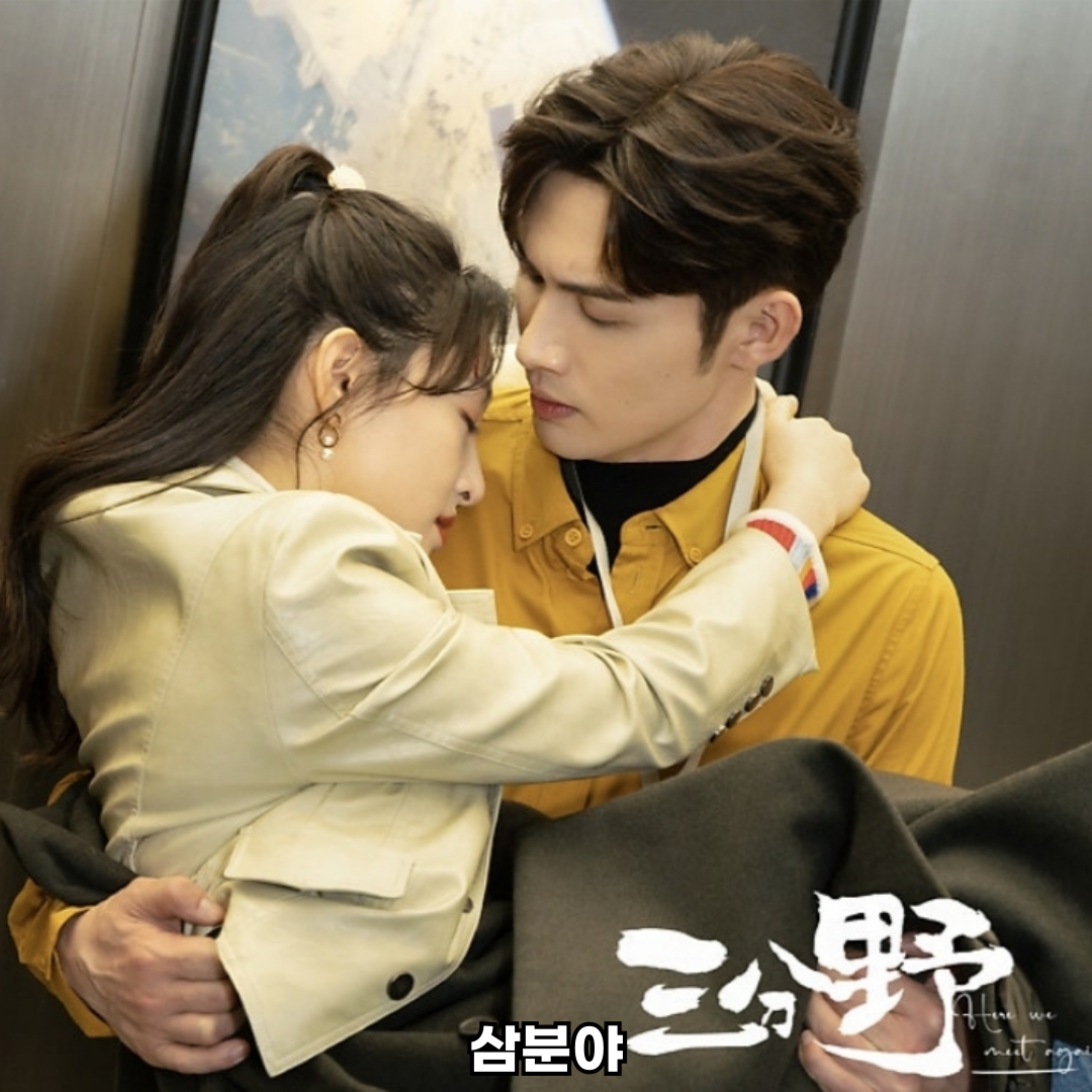 삼분야 중드 로맨스