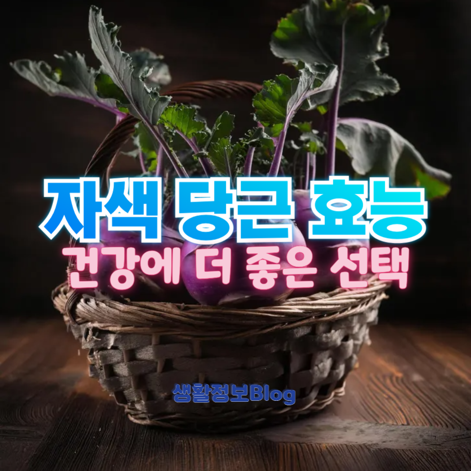 자색 당근 효능