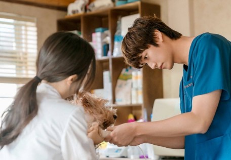 로맨스 드라마 추천 모텔 캘리포니아 줄거리 결말