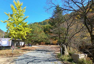 강원도 오토캠핑장