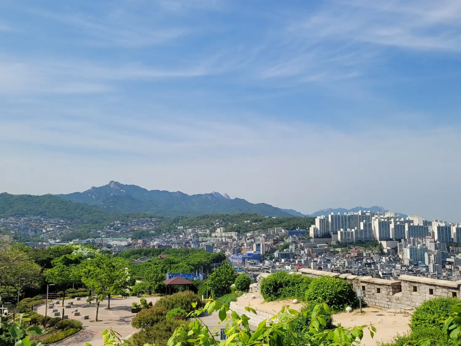 낙산정상에서 바라본 풍경