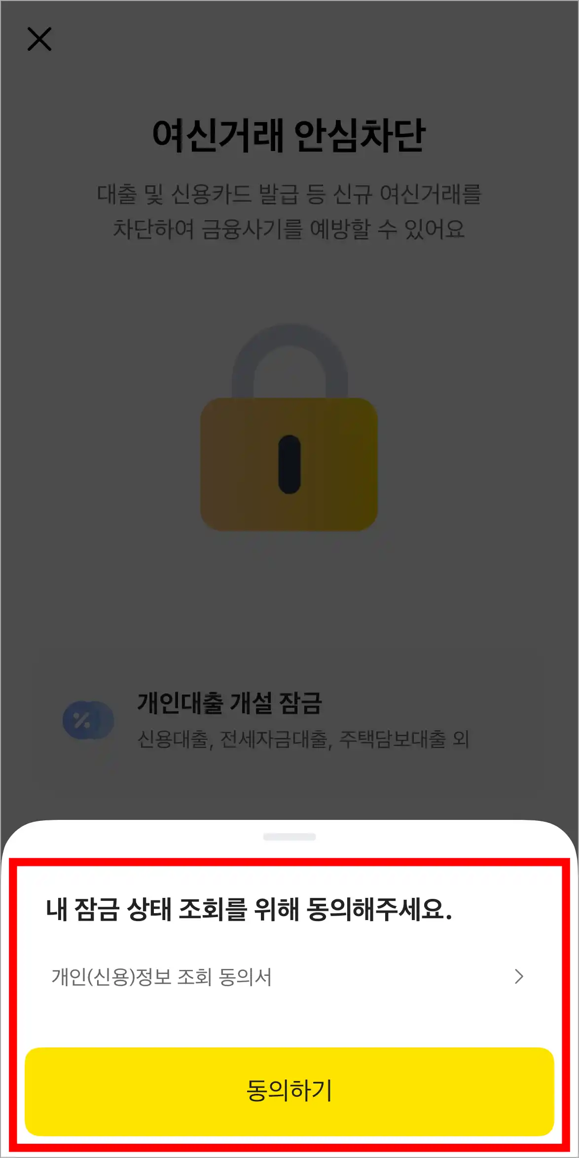 내 잠금 상태 조회를 위한 항목에 동의