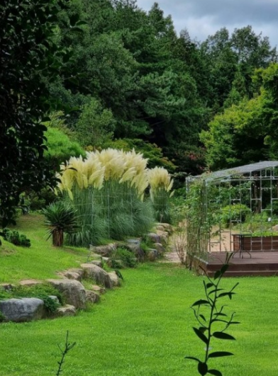 가을에 꼭 가야 하는 억새 명소