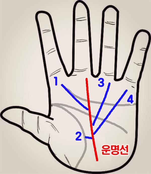 운명선의 지선들