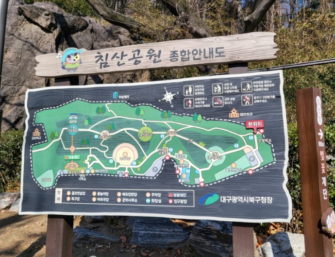 대구 벚꽃