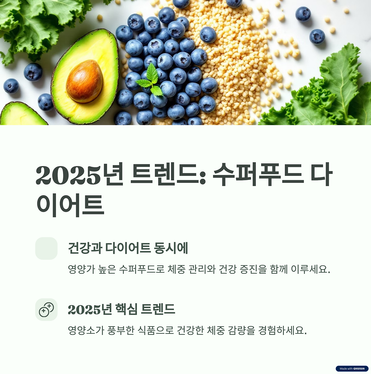 싱싱한 초록잎. 잘익은 아보카도의 잘린단면과 씨의 모습, 항산화의 대표 블루베리와 씨앗의 한가득한 모습.