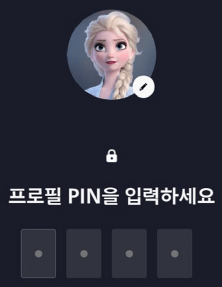 프로필-PIN-입력