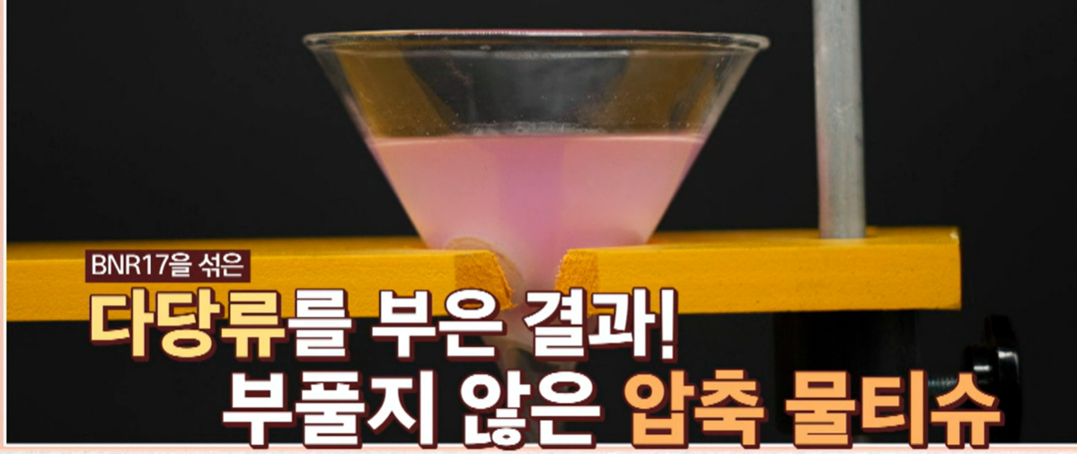 bnr17 유산균 효능