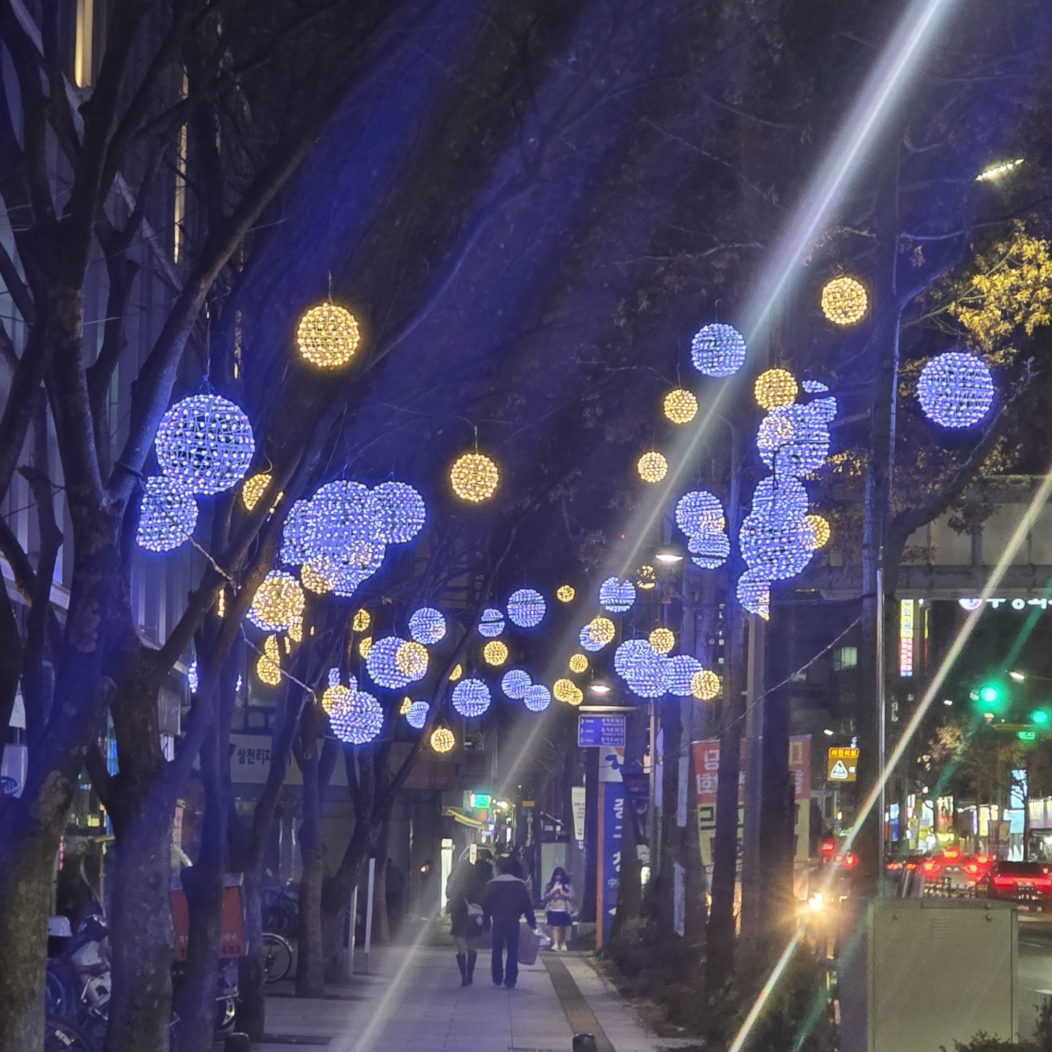국채보상공원 조명