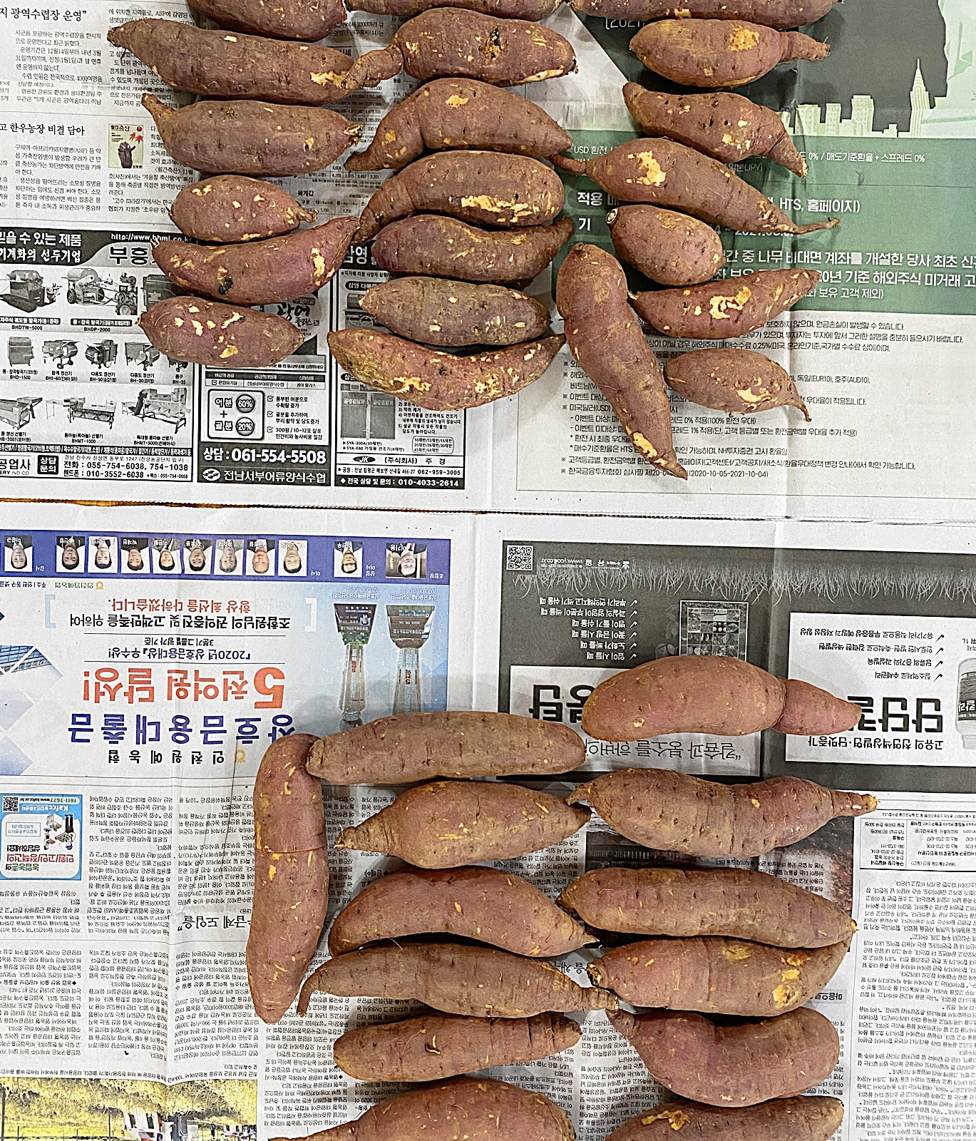 특과 중상 비교