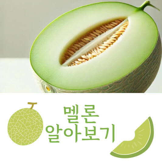 멜론