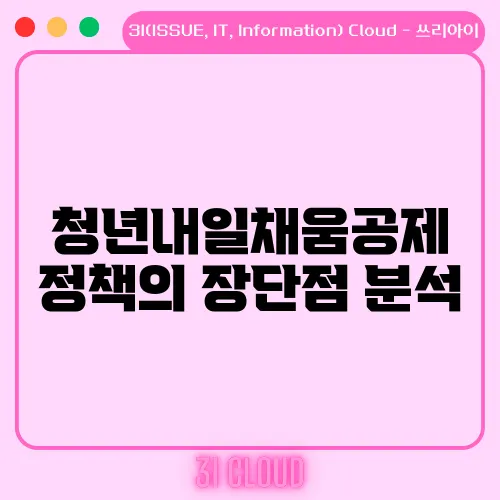 청년내일채움공제 정책의 장단점 분석