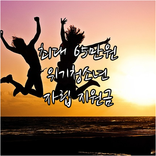 최대 월 65만원 2025 위기청소년..