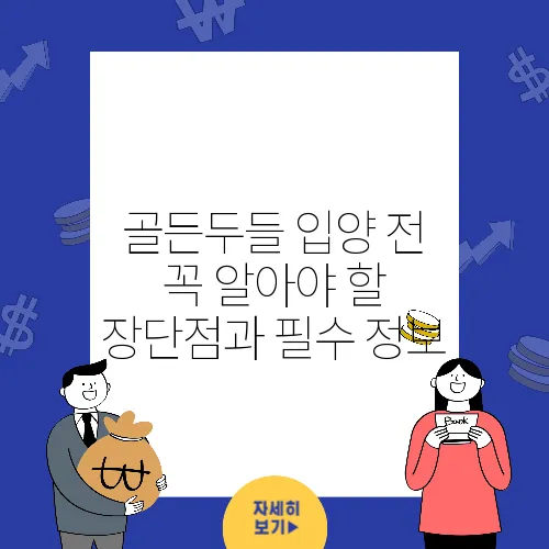 골든두들 입양 전 꼭 알아야 할 장단점과 필수 정보