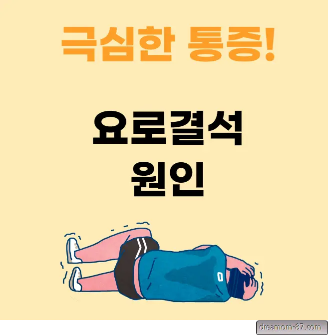 요로결석 원인