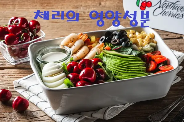 체리 영양성분