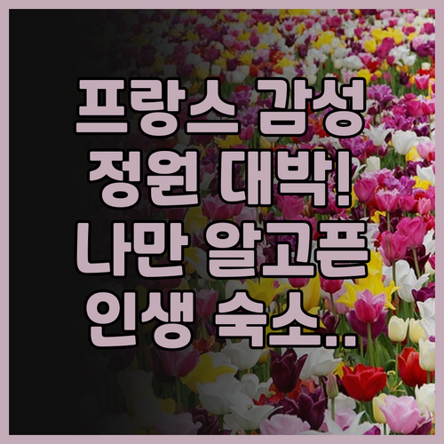 호텔 드 라 폼 뒤오르 추천 조용한 ..