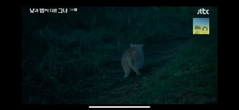 낮과 밤이 다른 그녀 재방송 낮과 밤이 다른 그녀 15회 줄거리