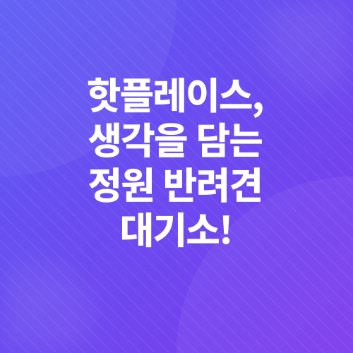 반려견 놀이터_1