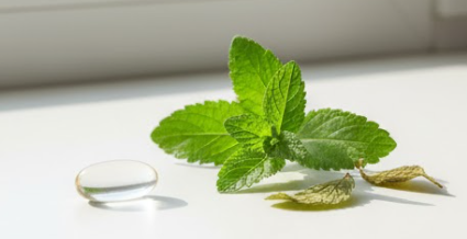 연질캡슐과 허브