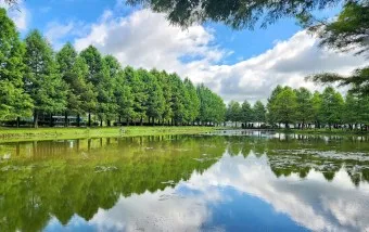 담양 맛집 베스트10 진짜 현지인만 아는곳_16