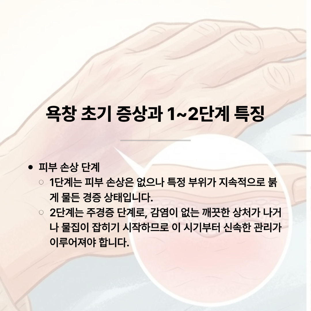 피부 손상 단계 중 지속적인 붉은 기가 나타나는 1단계 특징과 물집 및 상처가 잡히기 시작하는 주경증 2단계 특징을 상세히 비교해 주는 욕창요양병원의 인포그래픽 이미지.