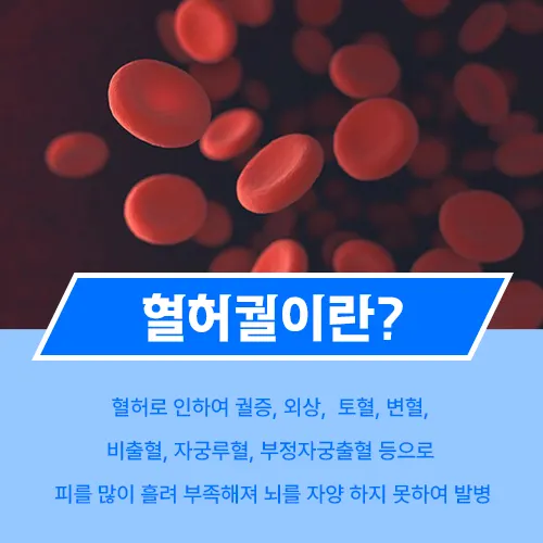 혈허궐