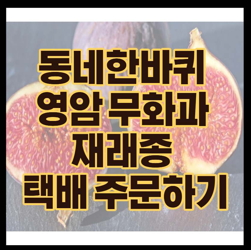 KBS 동네한바퀴 화제! 영암 무화과 재래종 택배 주문 완벽 가이드