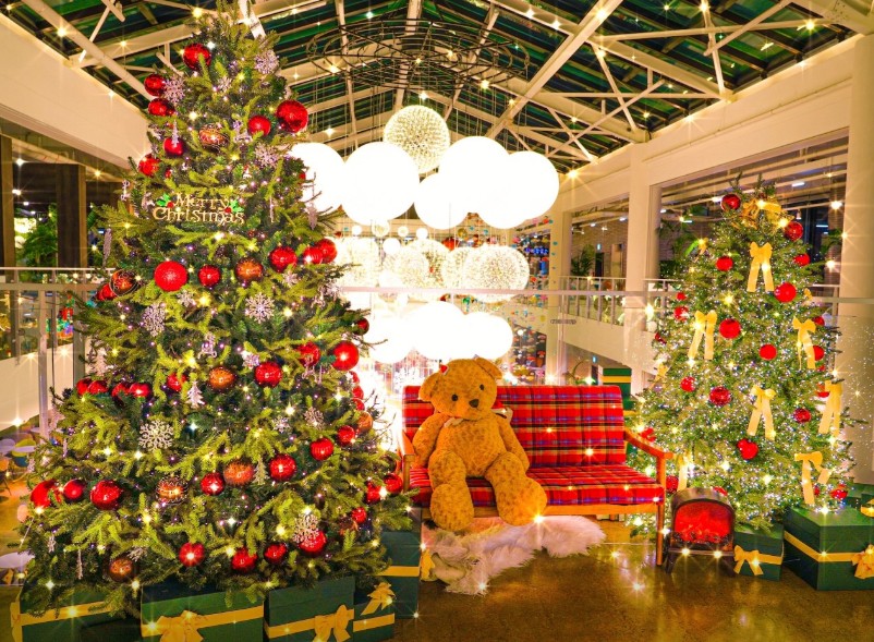 서울 근교 크리스마스 테마 분위기 맛집 Best 5