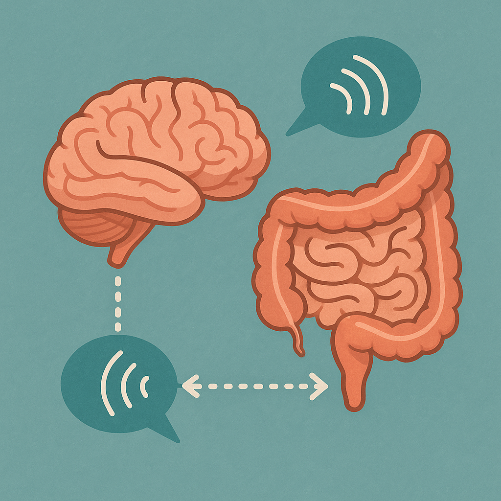 세로토닌 분비법의 핵심인 장뇌축(Gut-Brain Axis)을 보여주는 이미지. 장 건강이 뇌 기능과 감정에 미치는 영향을 상징한다.