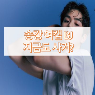 송강 여캠 BJ 유소희
