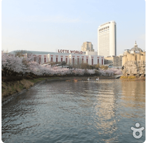 전국 지역별 벚꽃 명소 (2024년)