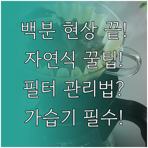 초음파식 백분 현상 피하고 자연 기화..